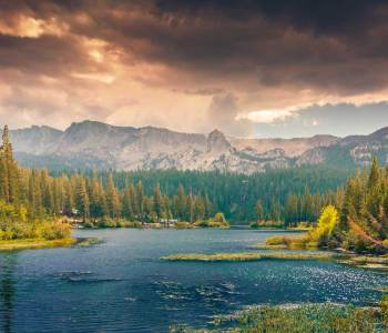 unsplash_52c2d2aad1576_1